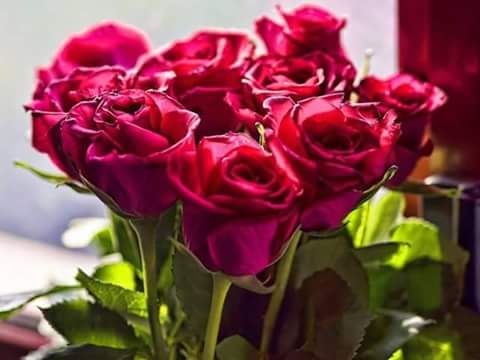 oopp12283's tweet photo. يسعد مساء الجميع
يارب الجميع بخير😍 http://t.co/tmYUxKiWtx