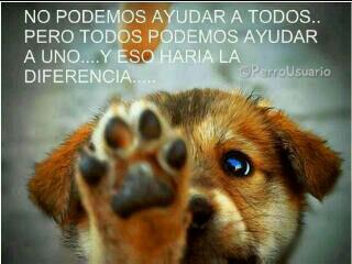 Tú puedes hacer la diferencia...