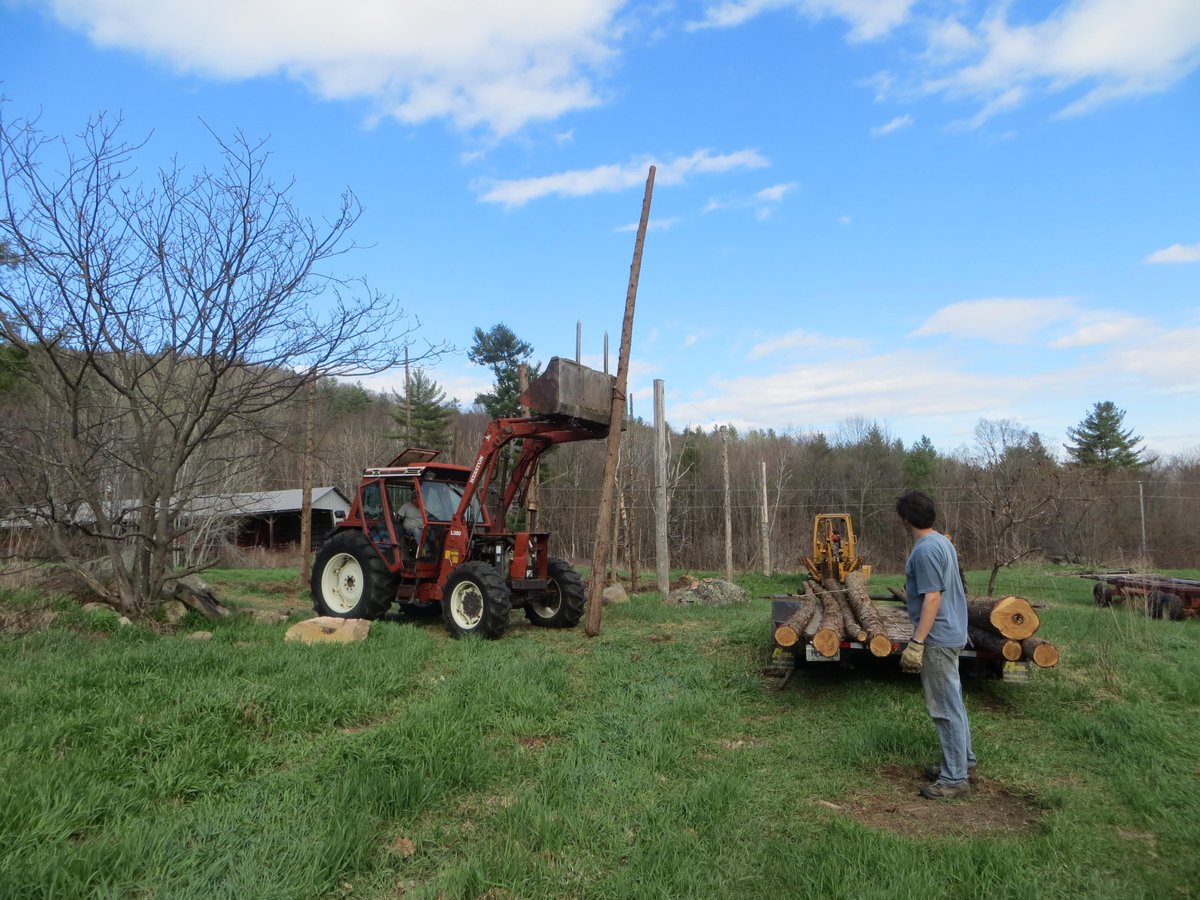 2015 #hopsyard planning -Will this be the scene again this spring? #organic #Cascade #hops #BlackRiverHops #613beer