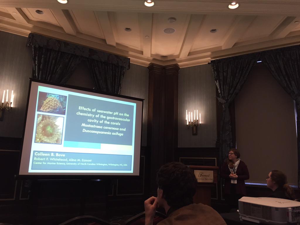 HAichelman's tweet photo. @seabove7 Bringing it home for the #CastilloLab presentations of #BEM2015 !! http://t.co/CcwUP31ESy