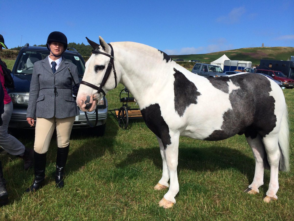 2nd riding lesson tomorrow only this ones got 4 legs and no engine #budthebrave sexy beast, so is the horse!