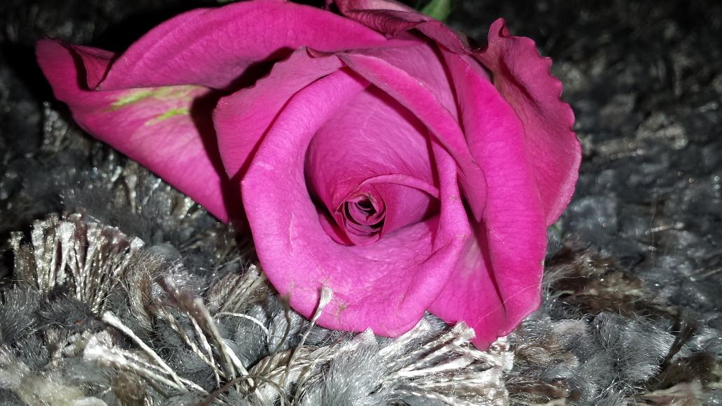 krstnagwn's tweet image. #ithasstarted #weddingplans