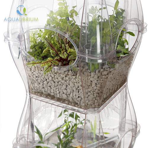 aqualibrium's tweet photo. The #Aqualibrium #Garden can add a touch of modern #sophistication to your #home, #office or #school. #FreshProduce http://t.co/VkrlFsdmjn