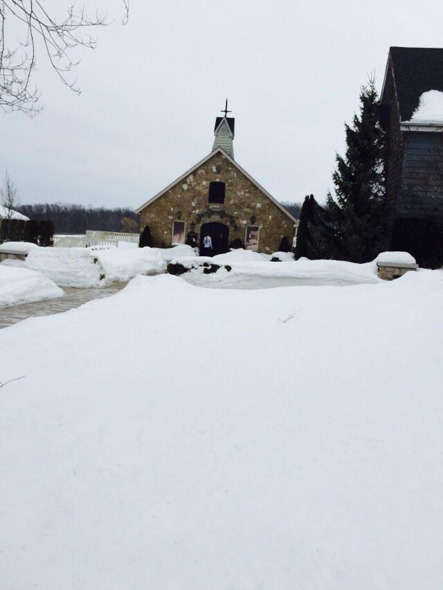 CAPS Ontario tweet media