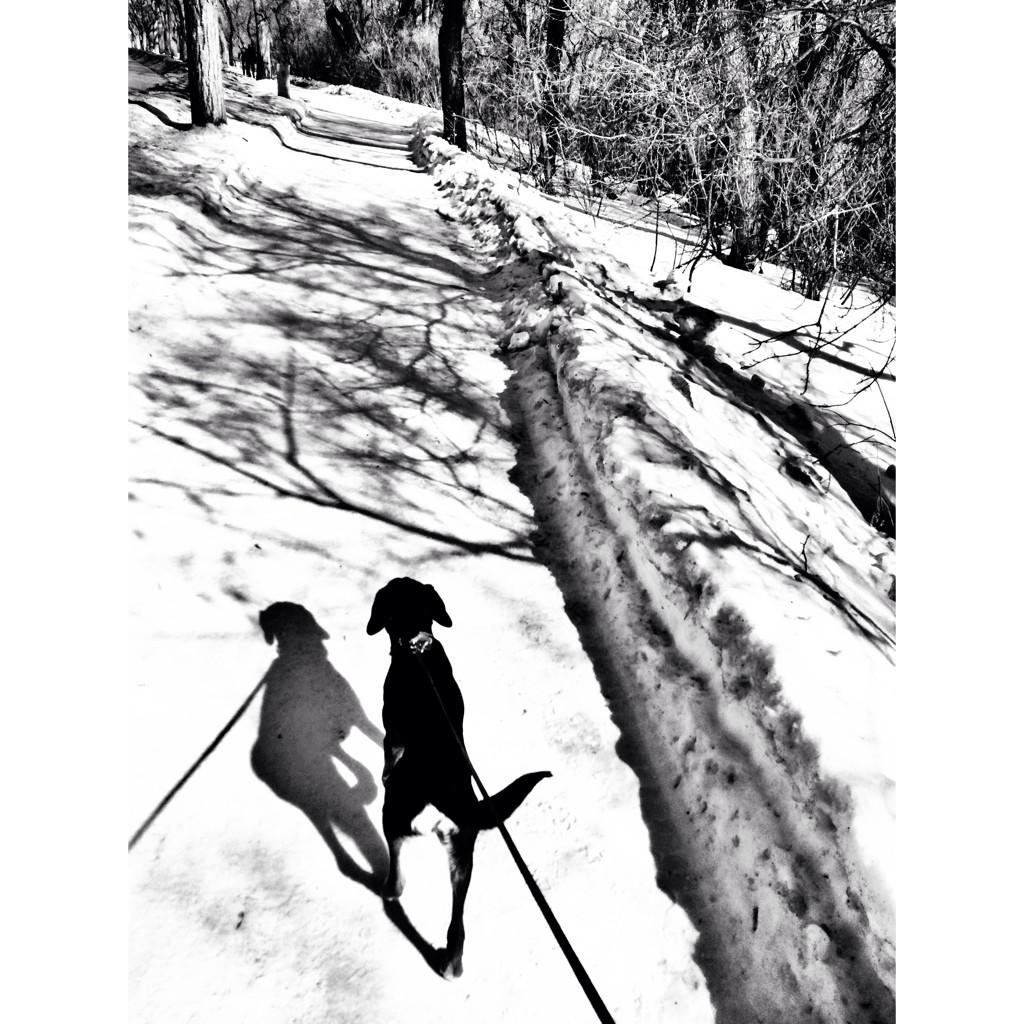 SBreeDesigns's tweet photo. Beauty day!  #SpringTime http://t.co/unHCmWSV4K