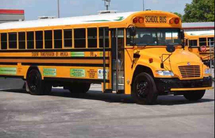 BetterBus1's tweet image. #BetterBus2k15 #betterbus #girlsbussuck #busislovebusislife #men=better #selfie