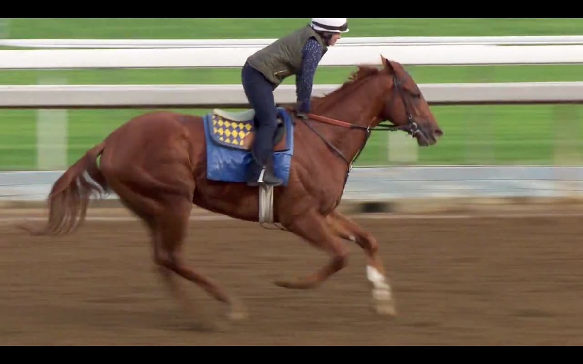 TVGFeatures tweet picture