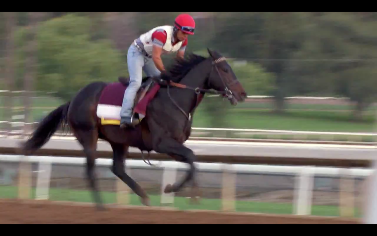TVGFeatures tweet picture