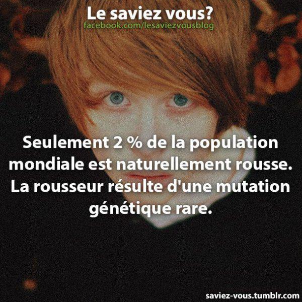 guiwar45's tweet image. 