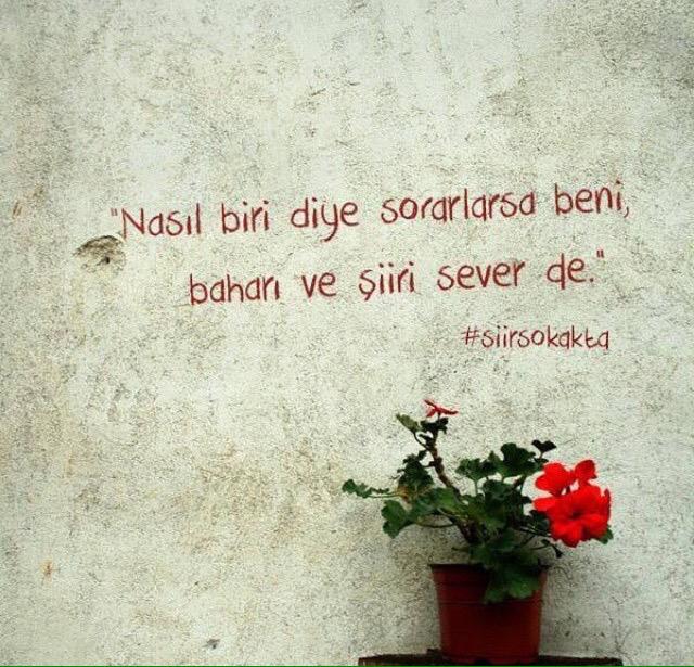 Beni, baharı ve şiiri sever de.