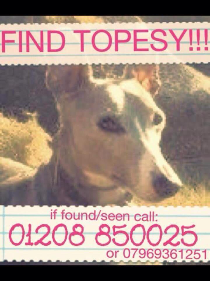 michell57319641's tweet photo. #AllStillMissing http://t.co/Y4jPDPBSfa