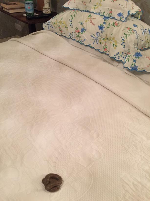 Been there!!! "<a href="/KirstieMAllsopp/">Kirstie Allsopp</a>: Just got upstarts, clearly my children think this funny, I don't agree #fakepoo "