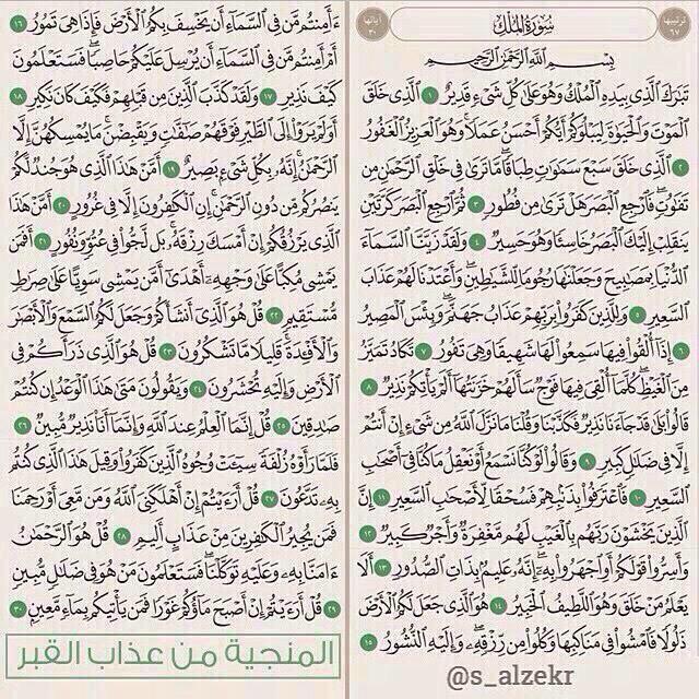 shahwy1977 tweet picture