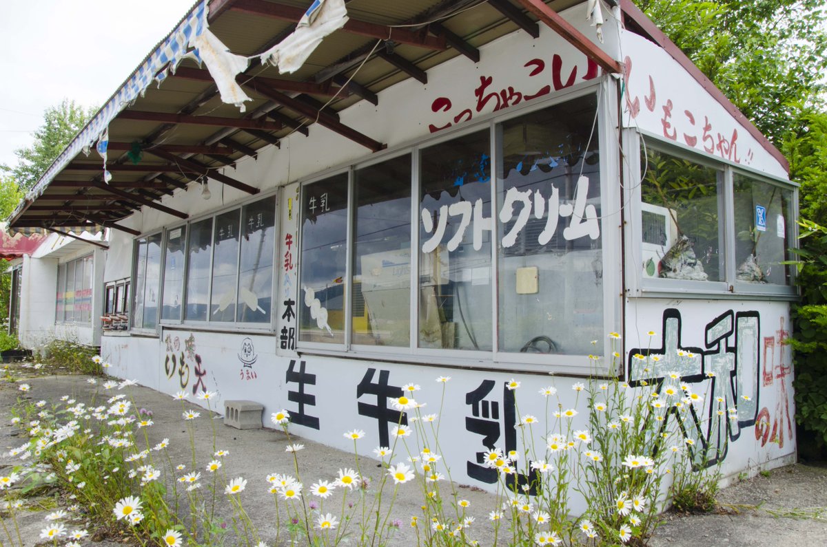 廃墟の植物 A4サイズ みんなの遠足ログ♫ 北見付近でたまたま見つけたドライブイン廃墟