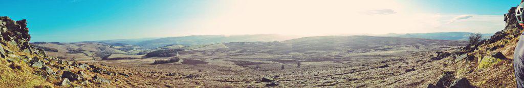 James Rycraft tweet media