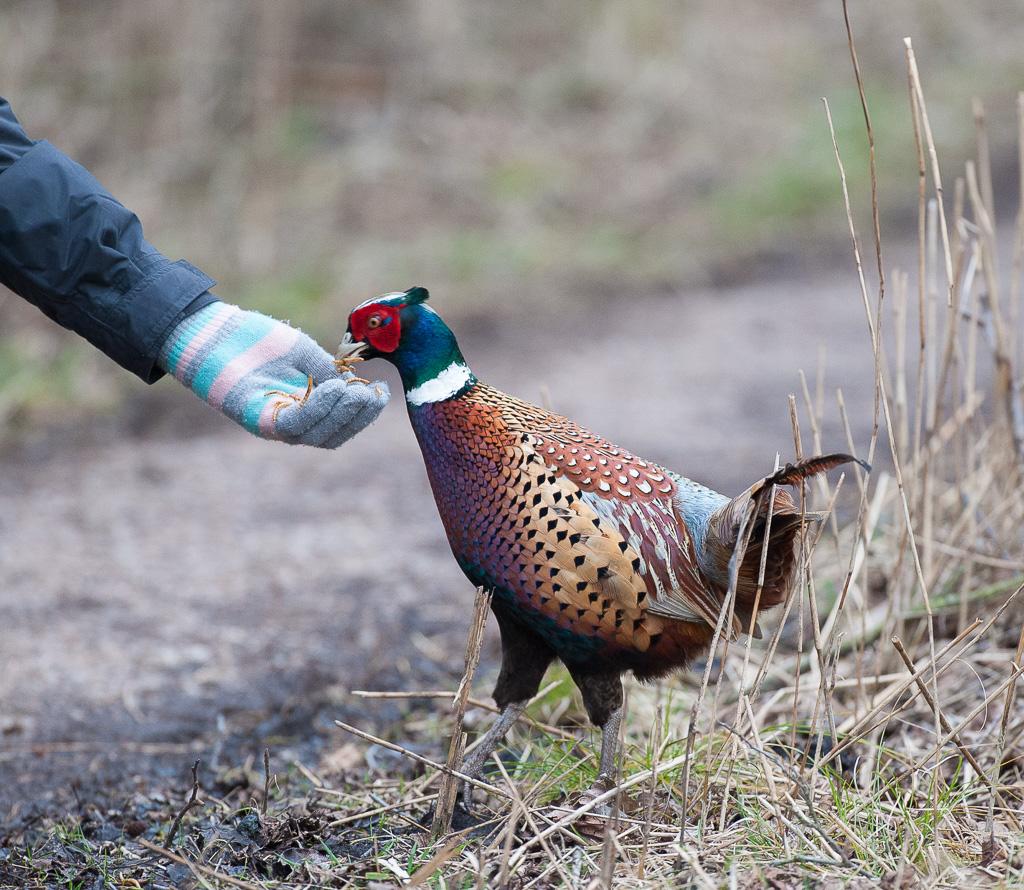 Jonathan Smith tweet media