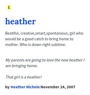 Urban Dictionary on X: @KTHopkinsFans heather: Beatiful,  creative,smart,spontanious, girl who would    / X