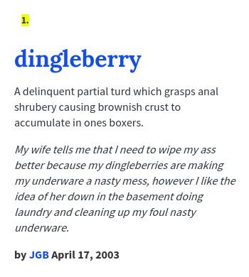Why did they describe dingleberries in this detail #dingleberry #dingl, dingle berries