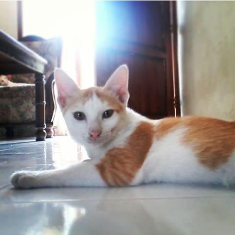 dimas  tweet media
