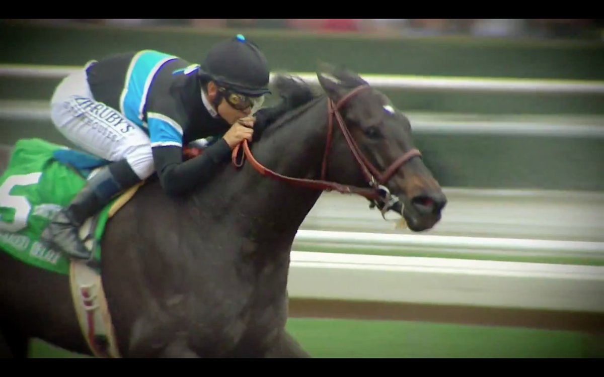TVGFeatures tweet picture