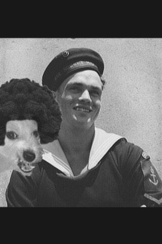 ozzypawsborne1's tweet photo. Ozzy back when he was a young sailor๐ #itsAllaboutthefrobro #froyobro http://t.co/saWNA8Y2eU