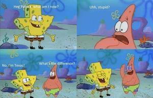 SpongeBTweets's tweet photo. #texas #spongebob http://t.co/JmwYTW1eqB