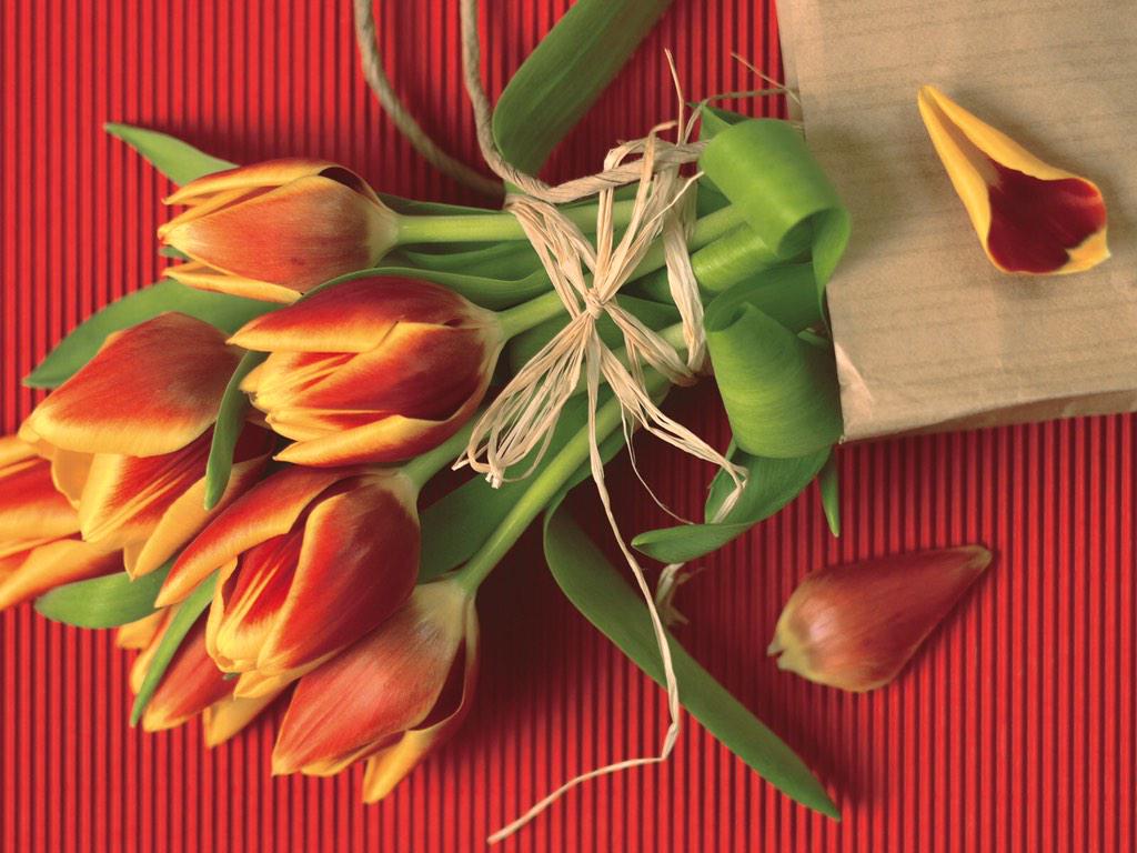 FishPointRest's tweet image. Милые дамы!
Команда ресторана "Fish Point" от всей души поздравляем Вас с Международным Женским Днем!