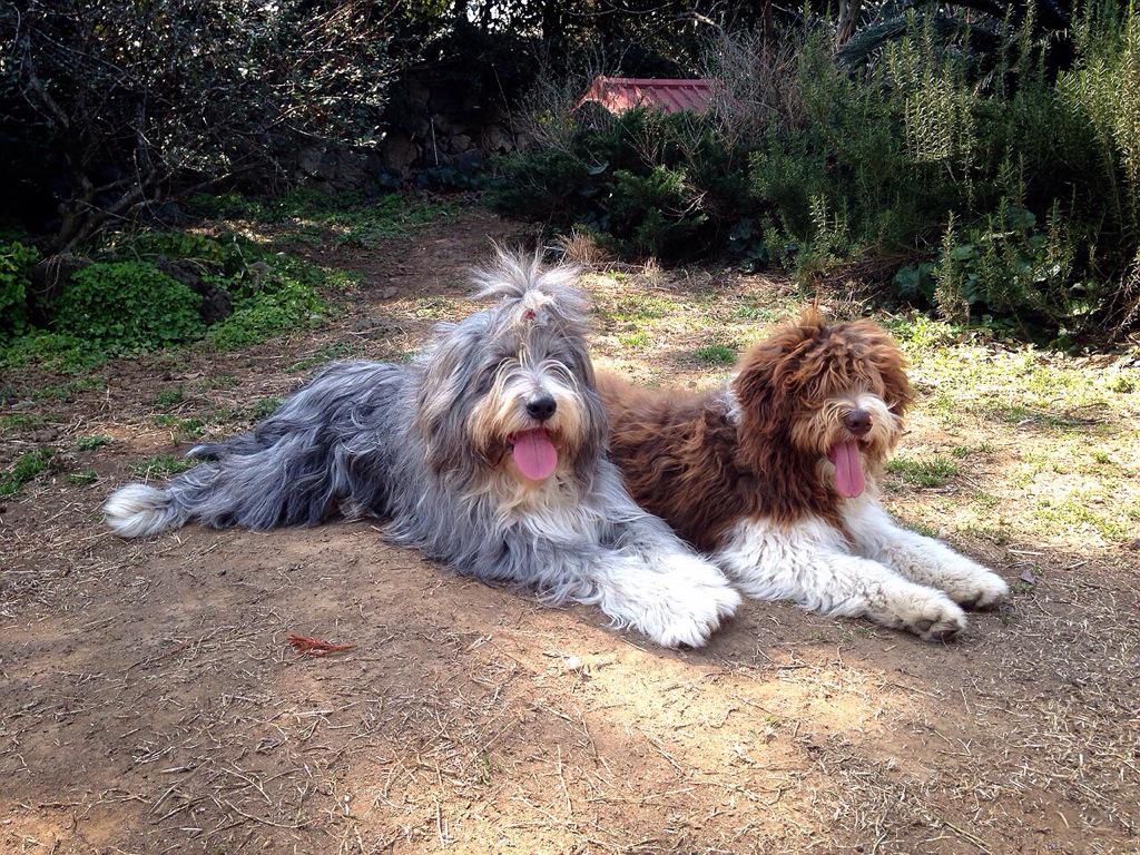 제주도 봄이 왔어요~~^^