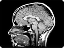 ialvorada tweet picture