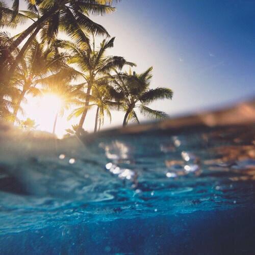 iadorewomen_'s tweet photo. Places I'd rather be 🌀🌴 👏 http://t.co/rQvaJzNYpV
