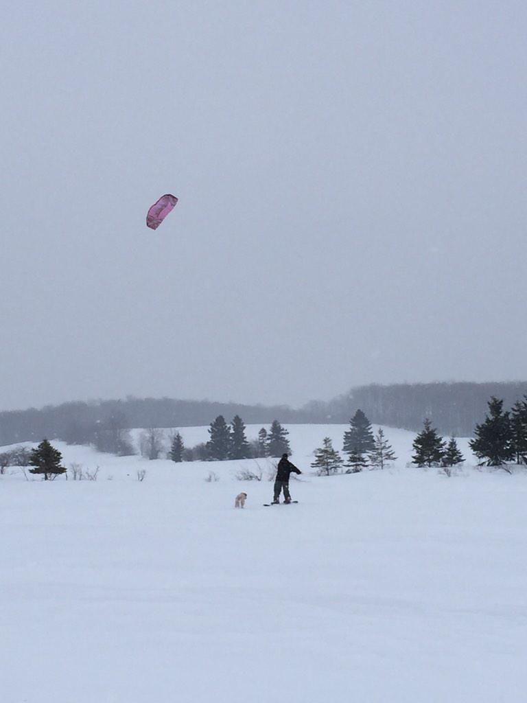 a_csordas's tweet photo. Great day snowmobiling and kite boarding with my boy and furry boy. #bluemountain #winterwonderland❄️🏂@powderpounders http://t.co/R3M75IsxIL