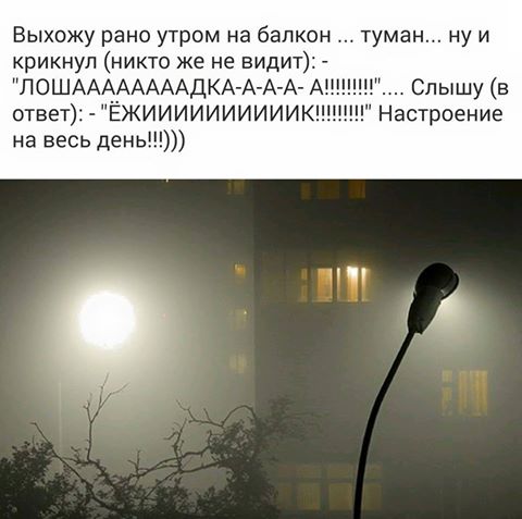 Анекдот про ежика и медвежонка. Вышедший рано утром. Вышедший рано утром. Ранний подъем утром. Утренний будильник.