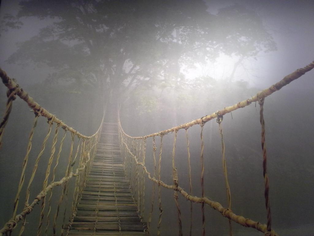 Loop_918's tweet image. I want this photo so bad #ikea