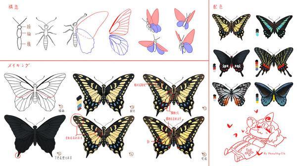 蝶 描き方 トップ新しい画像