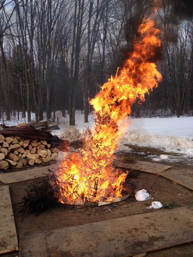 rachelrosehoff's tweet photo. My family's annual xmas tree burning party was a blast! #xmas #treeburn #family #friends #memories http://t.co/6cMEJvu1hl