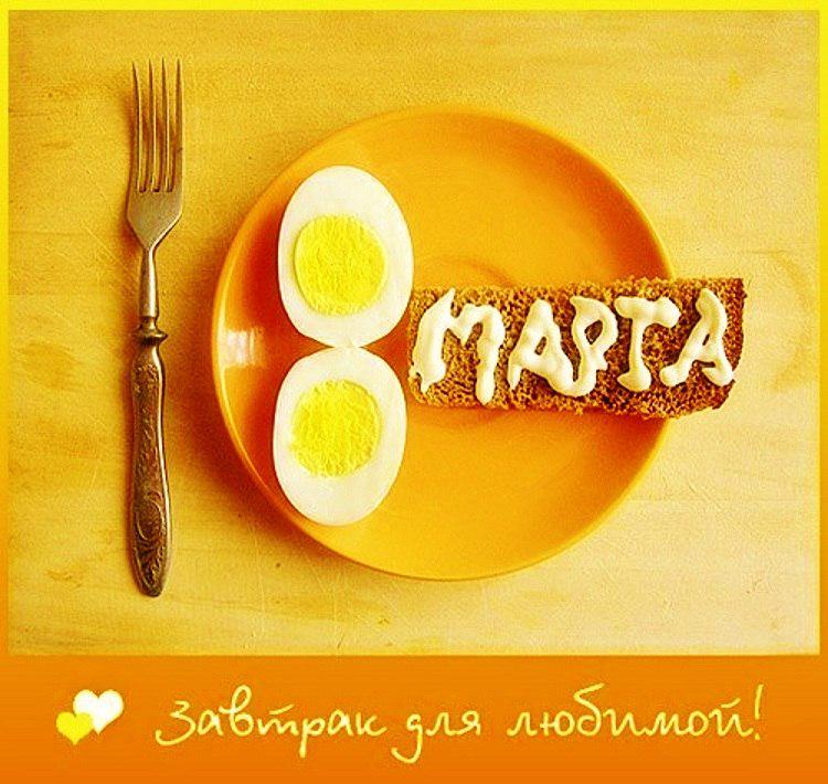 Приколы котов, прикольные картинки подарки на 8 марта