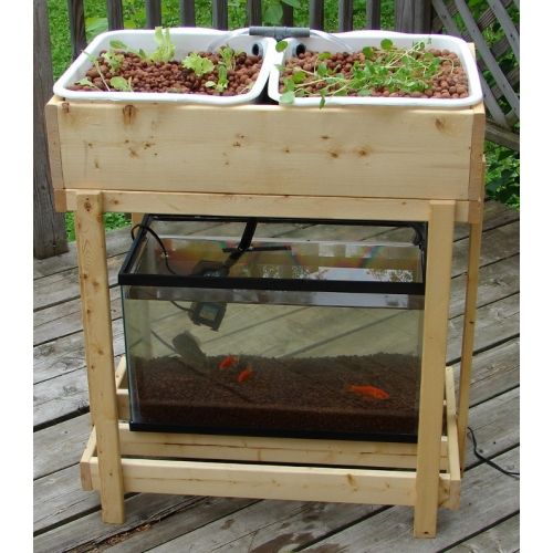 LessisMoreFest's tweet image. Learn to build an #aquaponics system with Michael Frankel. Drop in workshop #LessisMoreFest #EarthCarers