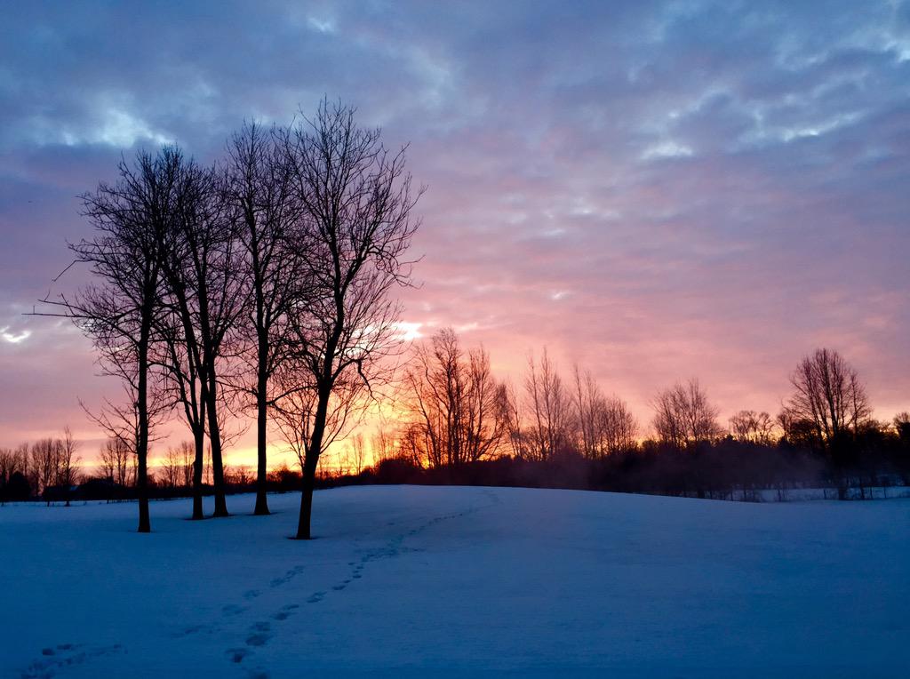 This was worth losing an hour of sleep. #springforward #naturephotography