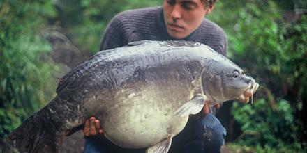 Urban Bait tweet media