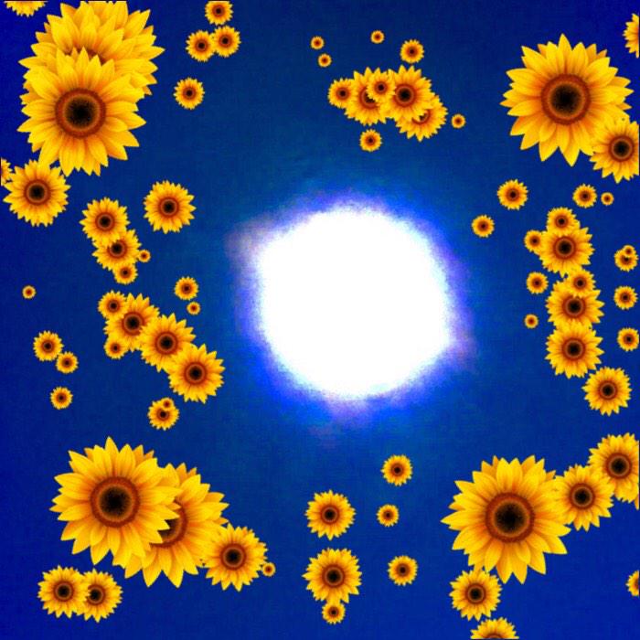 Biofafafa's tweet image. #scalaC