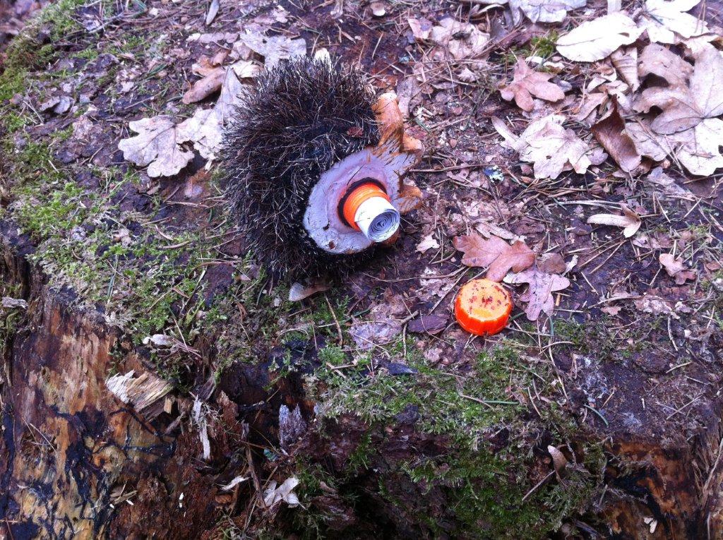 DerGolfSierra's tweet photo. Cache of the day! @Geocaching_Pics #geocaching http://t.co/MGqFmqpQxZ