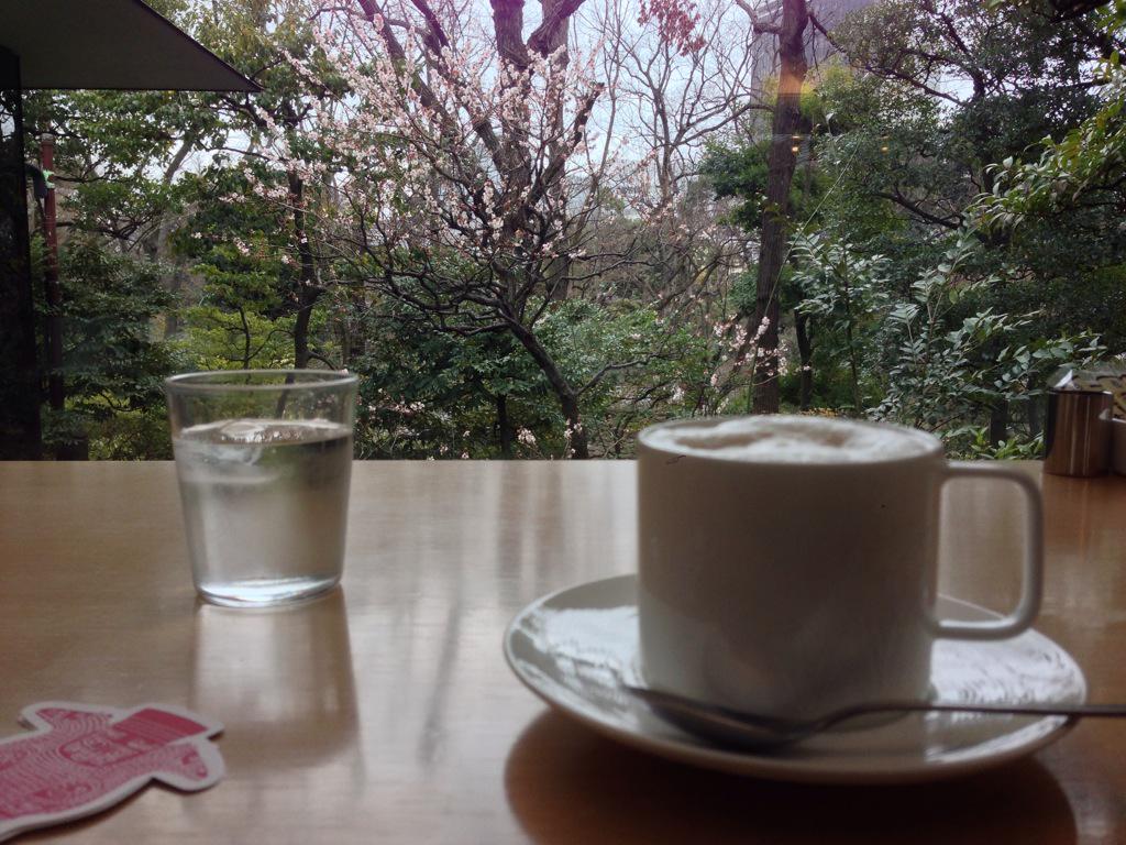 ftd3dym23's tweet photo. 根津美術館 菩薩展
今日はお天気もあまりよろしくないし
2日目ということで人も少ない。お庭も雨上がりで苔の緑が綺麗。カフェのカウンターの前に梅の花。
#Bura_Bi_Now http://t.co/zCyRFM8yqn