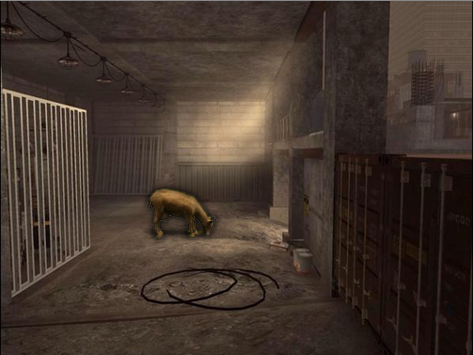 Hazz's tweet image. 50 thousand snipers use to live here.. Now it's a goats town