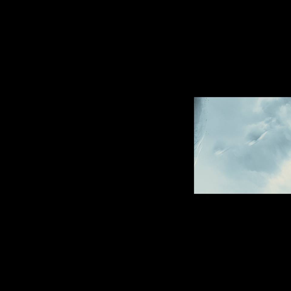 DM_Official tweet picture