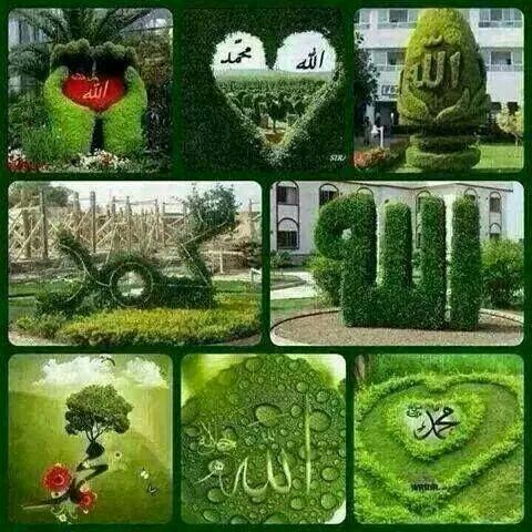 MMohnap tweet picture