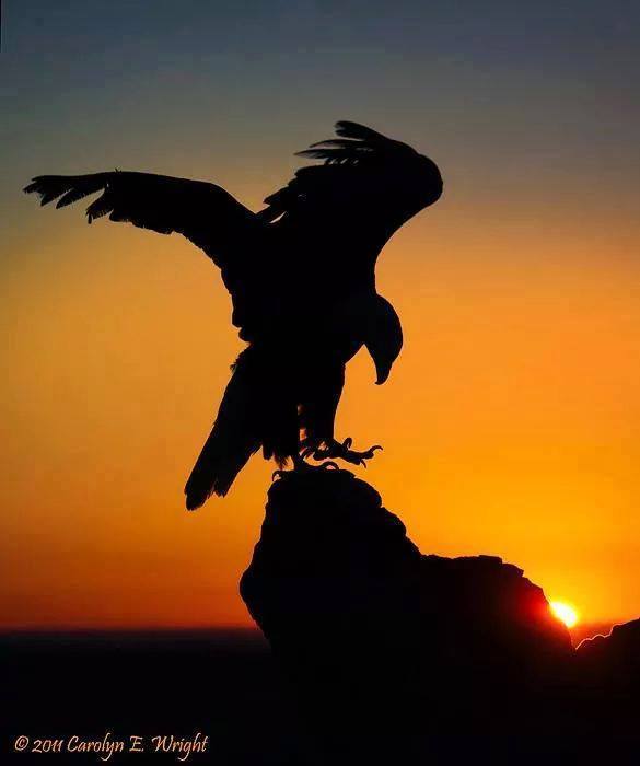 clarence cachagee tweet media