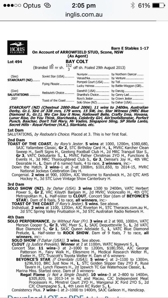 Georgejmoore8's tweet photo. Outstanding yearling by starcraft purchased at the Melbourne premier #great type #goodmover #redoutesmare http://t.co/xZMttS5CaT