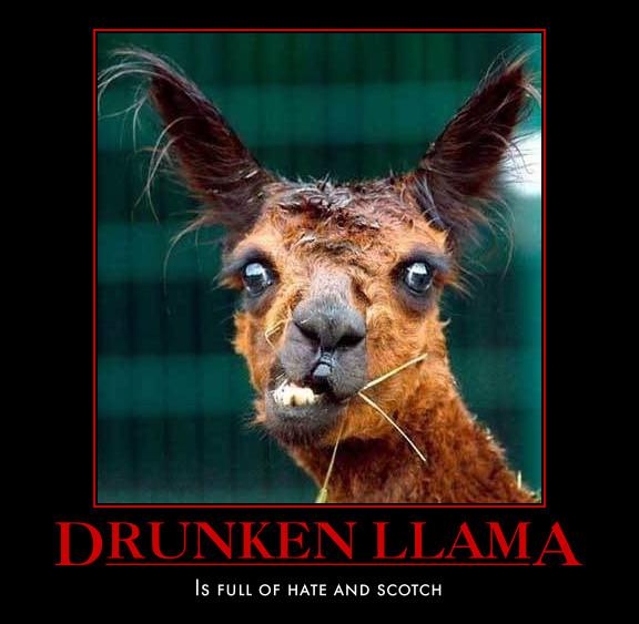 llama_tsn's tweet photo. @dlandry39 @fs1otoole A player runs into me i give him this look...then spit on his back as he runs away. #4PadStack http://t.co/ie2TOypX6H
