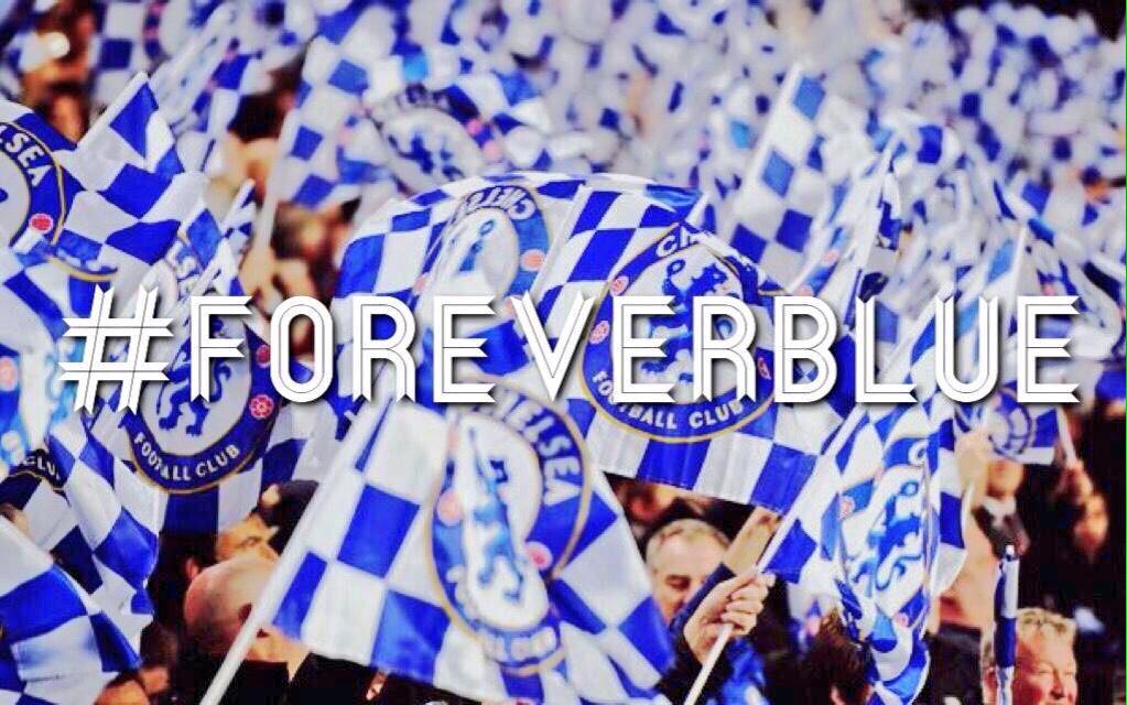 The Maresca Project tweet media