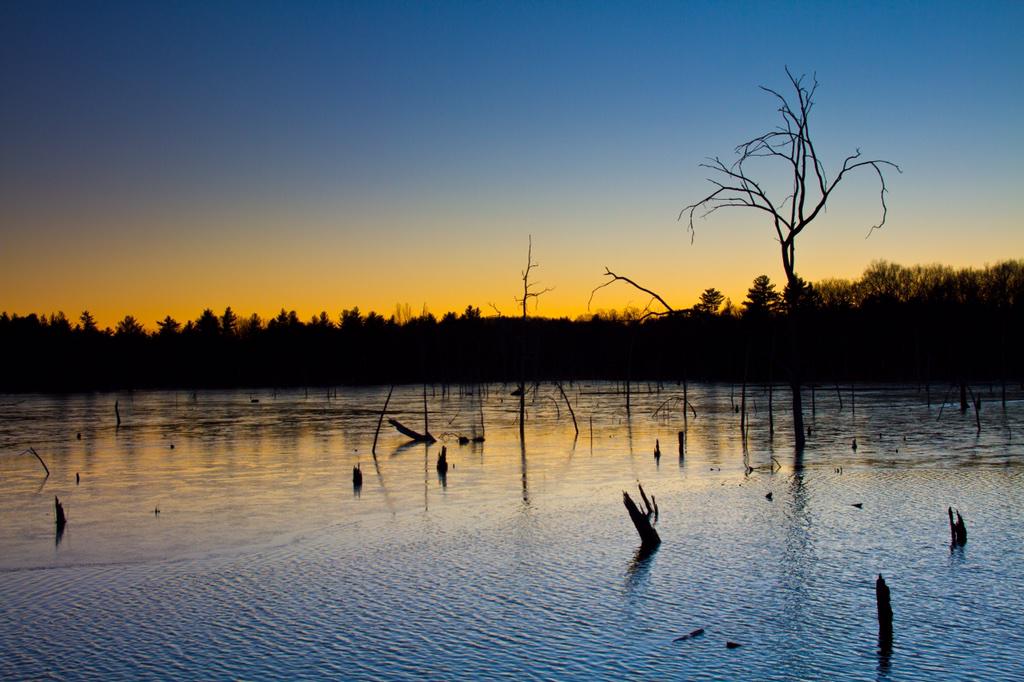 Clocks dial forward one hour today.